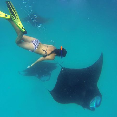 Hanifaru Transit Inn Dharavandhoo Dış mekan fotoğraf