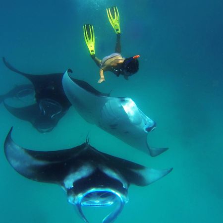Hanifaru Transit Inn Dharavandhoo Dış mekan fotoğraf