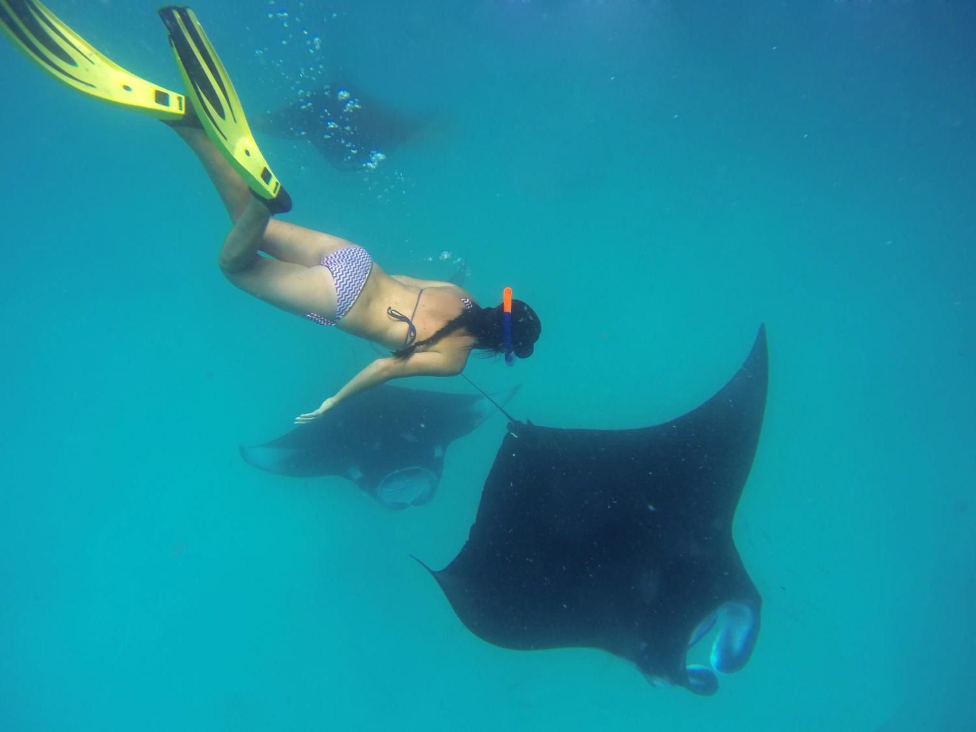 Hanifaru Transit Inn Dharavandhoo Dış mekan fotoğraf