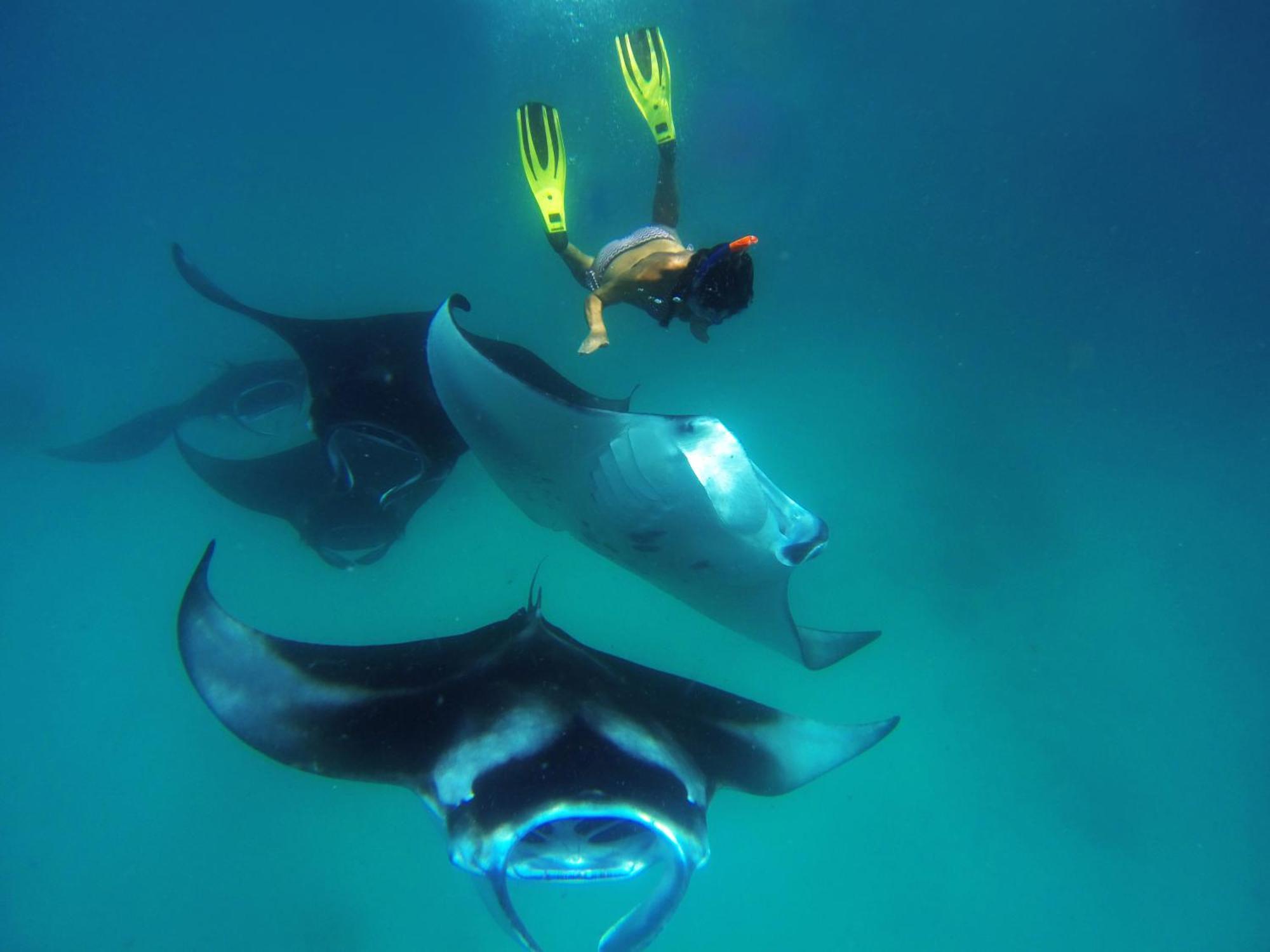 Hanifaru Transit Inn Dharavandhoo Dış mekan fotoğraf