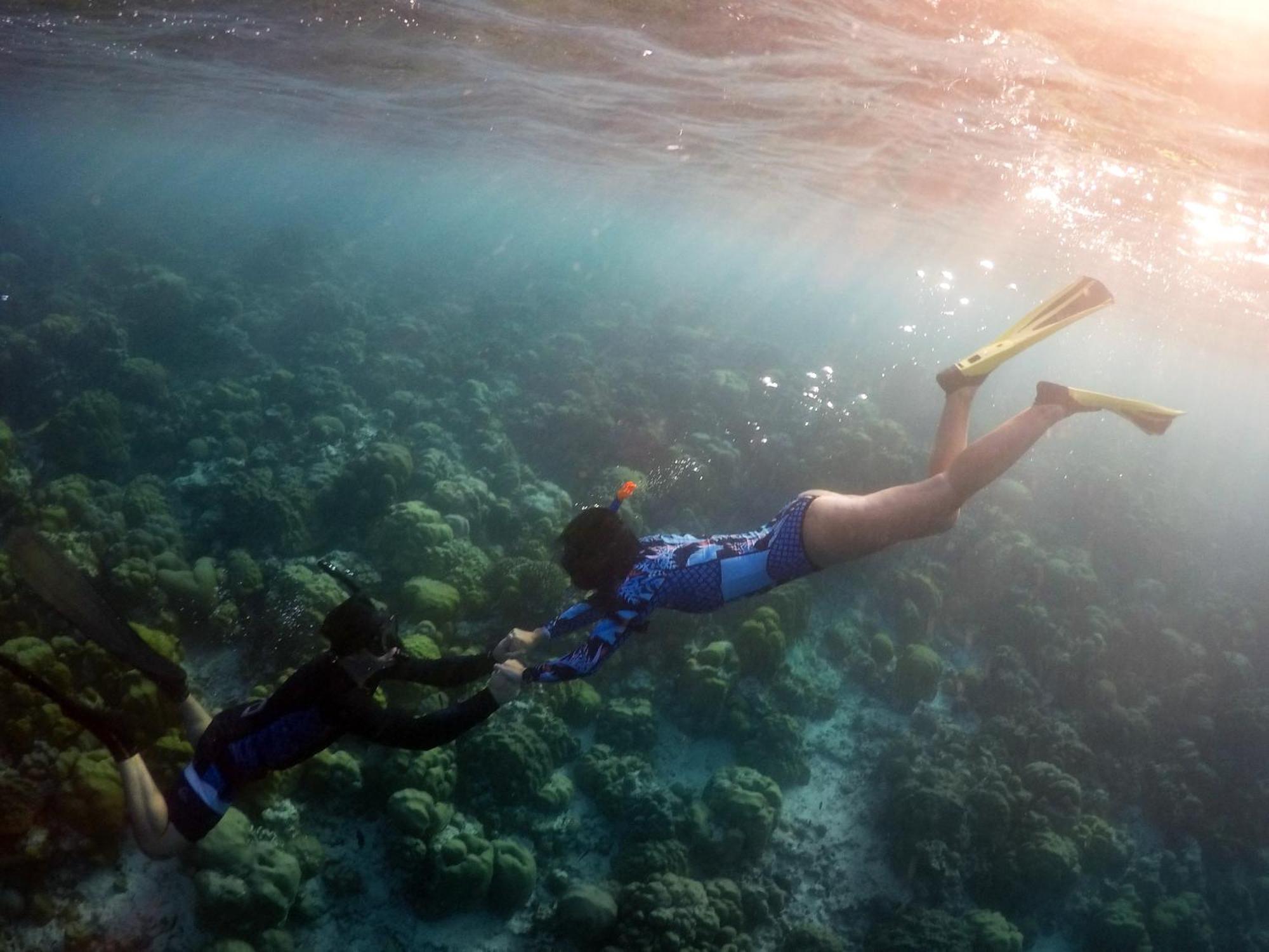 Hanifaru Transit Inn Dharavandhoo Dış mekan fotoğraf