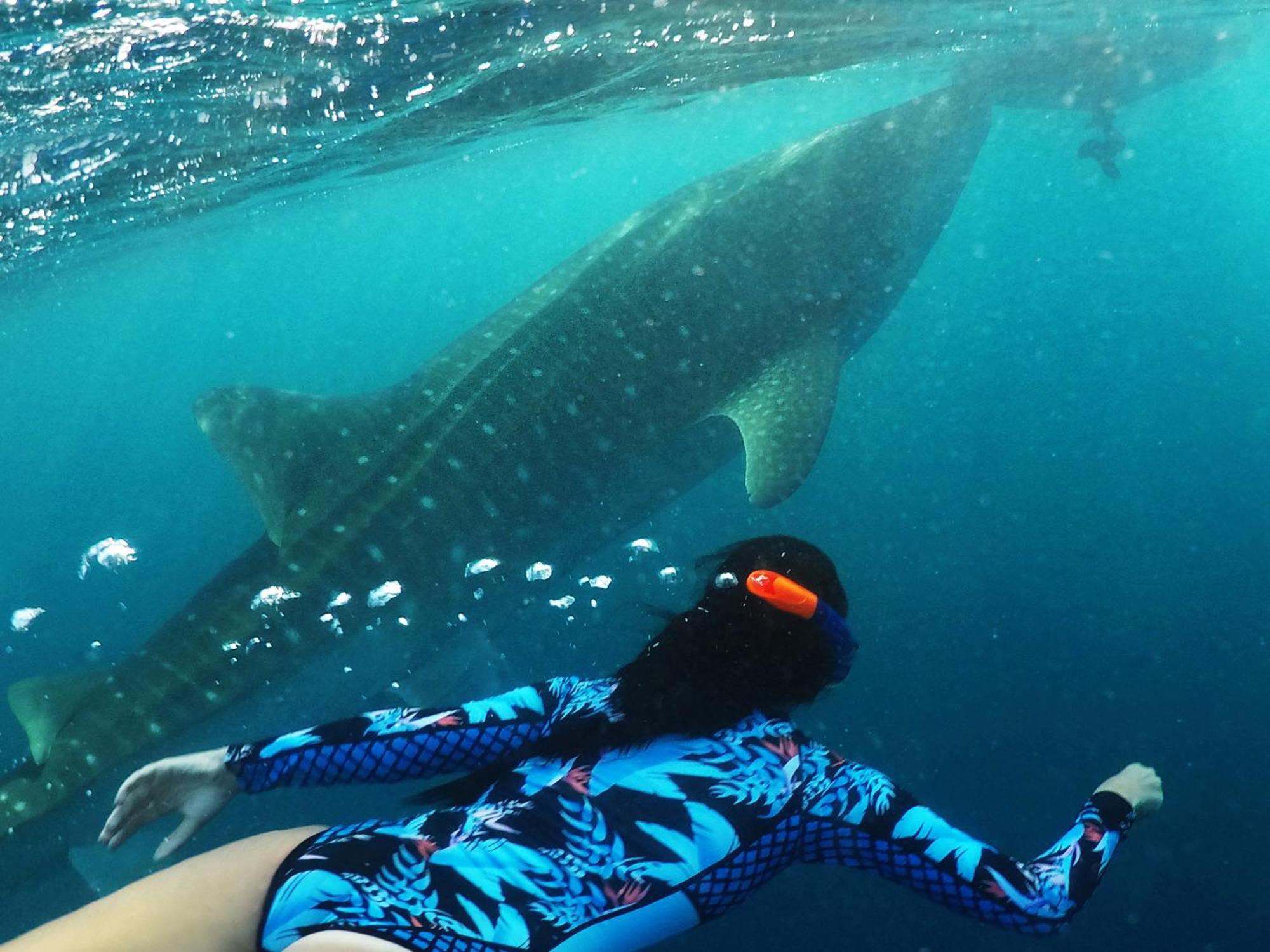Hanifaru Transit Inn Dharavandhoo Dış mekan fotoğraf