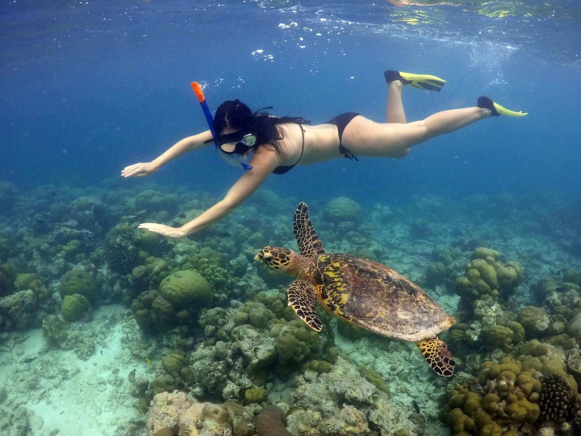 Hanifaru Transit Inn Dharavandhoo Dış mekan fotoğraf