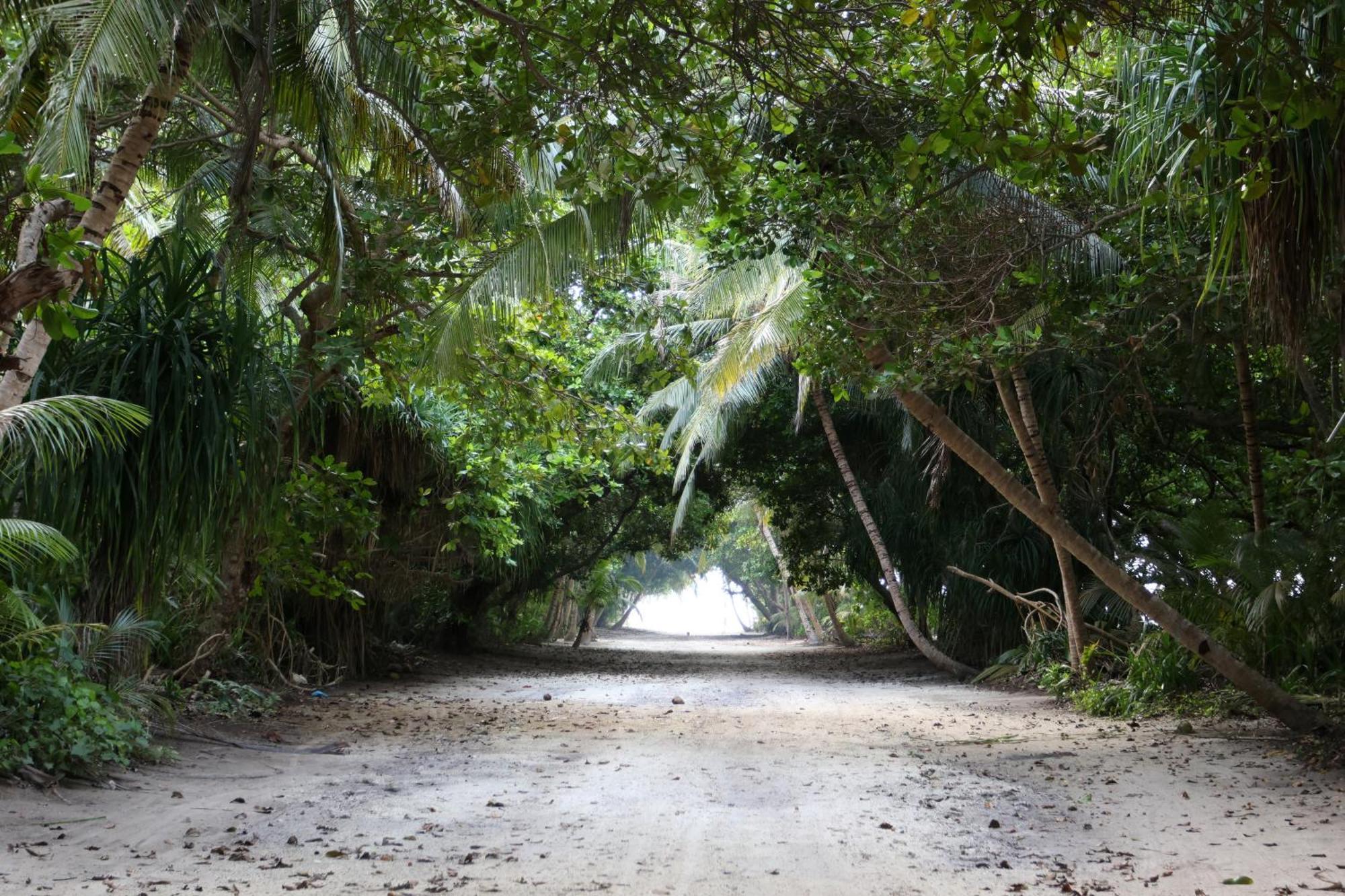 Hanifaru Transit Inn Dharavandhoo Dış mekan fotoğraf
