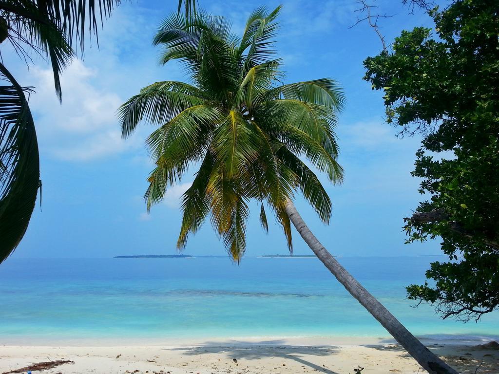 Hanifaru Transit Inn Dharavandhoo Dış mekan fotoğraf